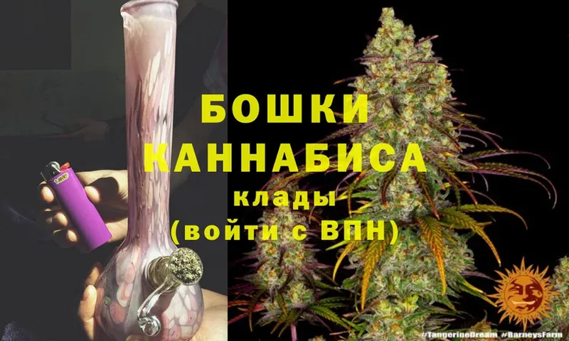 продажа наркотиков  Курганинск  мориарти как зайти  Марихуана Amnesia 